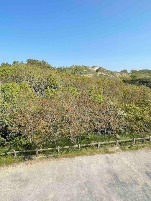 Logement 4A6 Pers A 100M De La Mer ステラ・プラージュ エクステリア 写真
